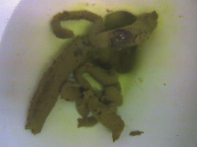 Apologise, Giant poop in toilet are Giant poop in toilet thought differently