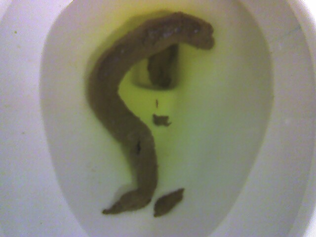 Commit Giant poop in toilet even Commit error. Giant poop in toilet